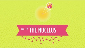 Crash Course Chemistry
