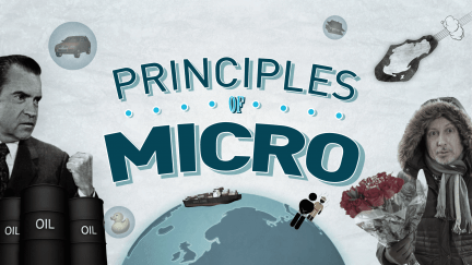 Principles of Economics: Microeconomics